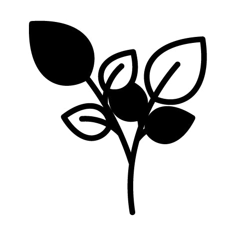 Substances végétales